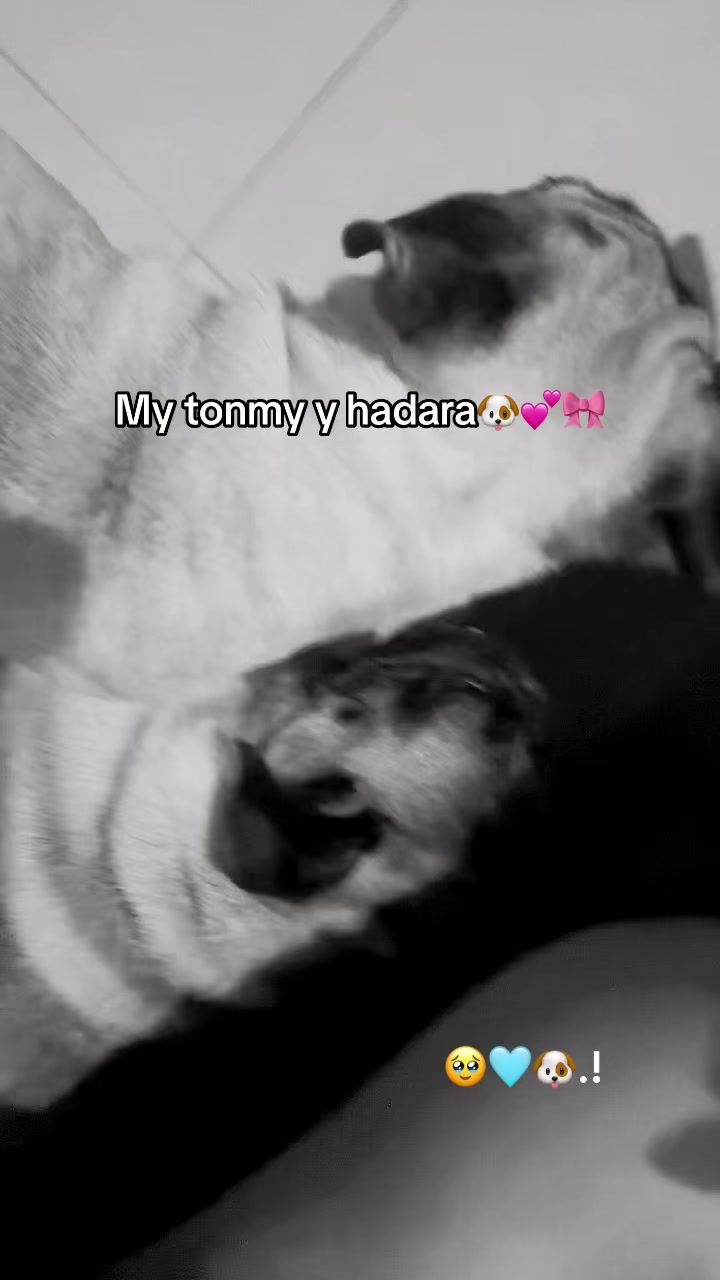 @๐๐ถ๐๐พโ๏ธ