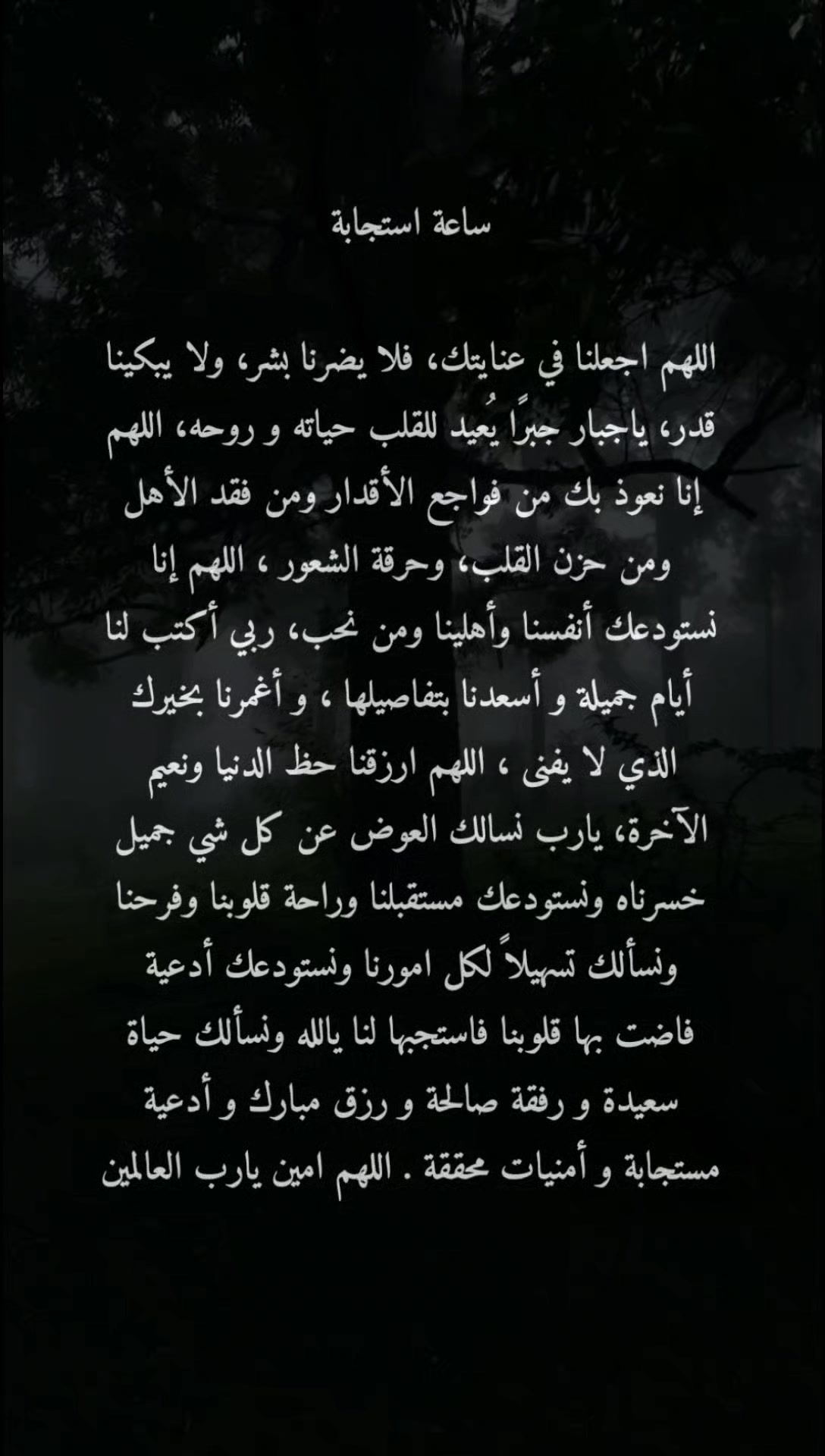 @duaa_a