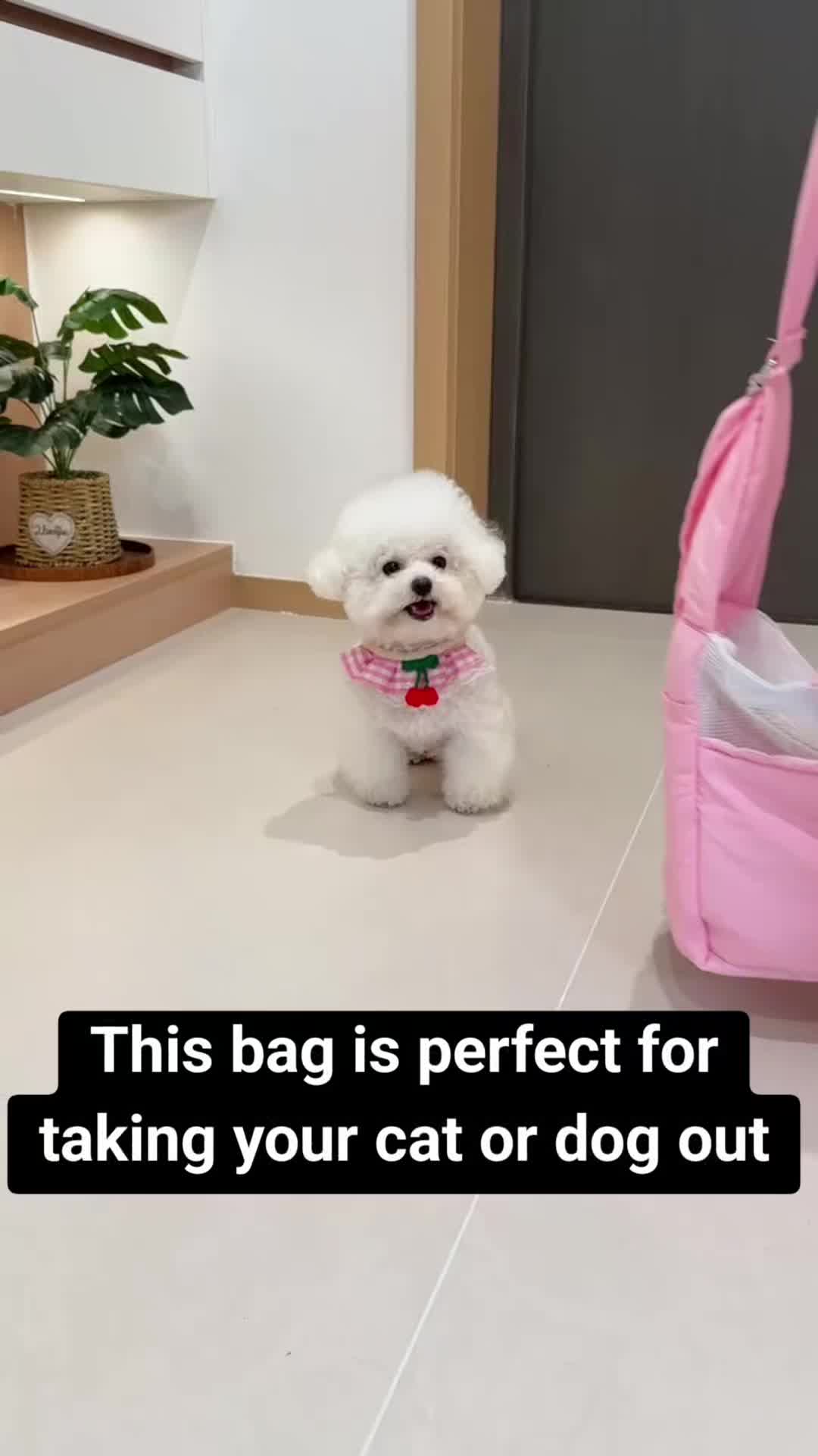 @Pet products