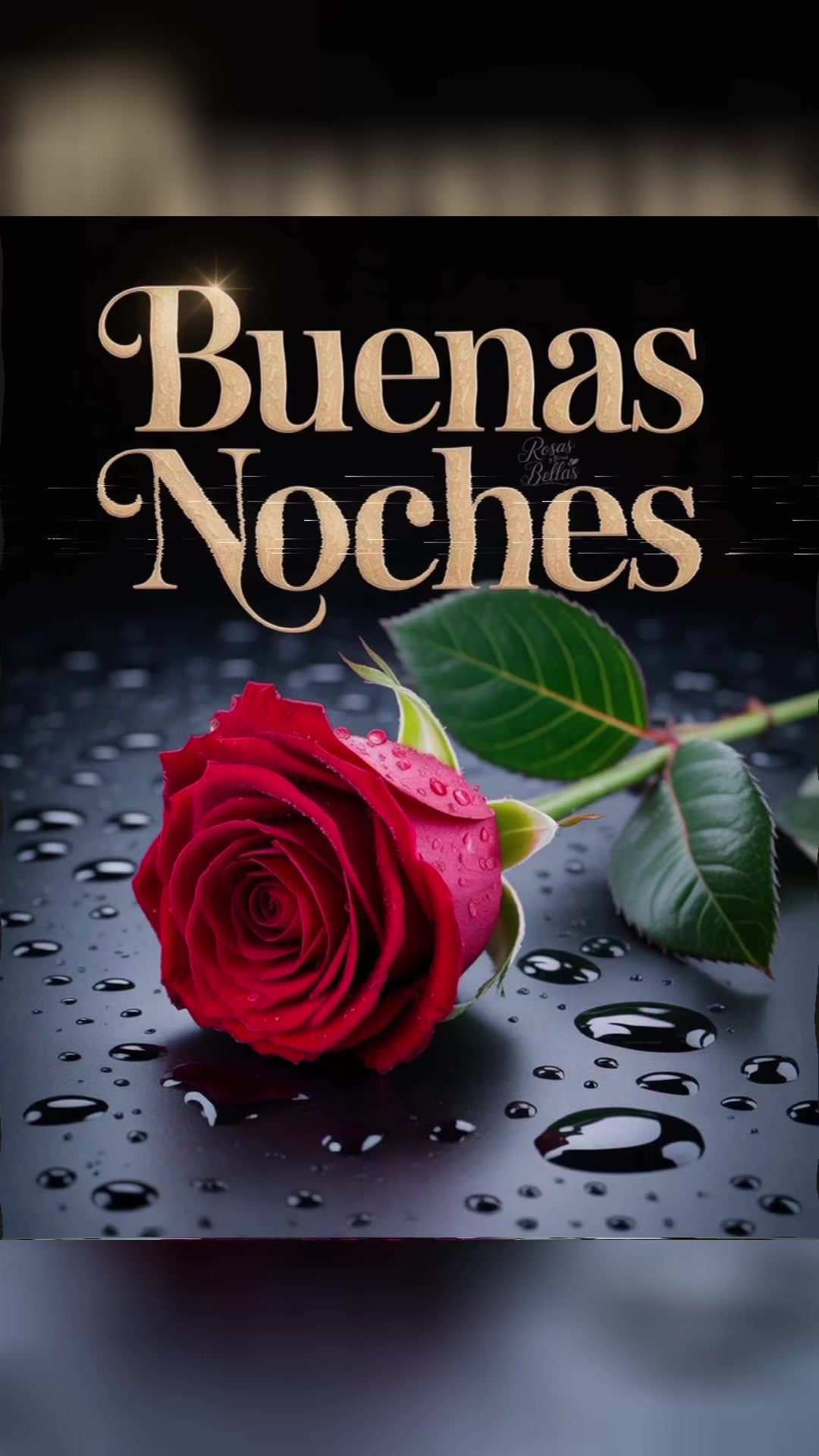 @elvirasvg