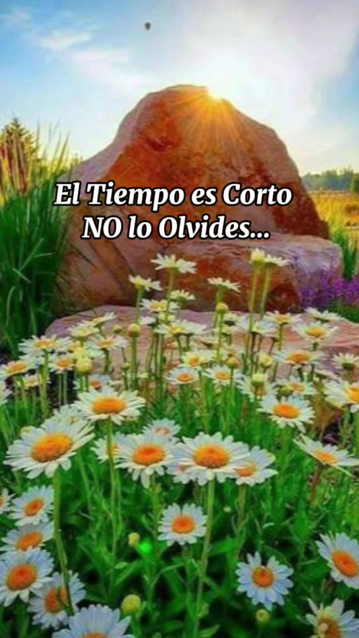 @🦋💜ALY🍀알리시아💋🧩🇺🇸💎🇸🇻🥷