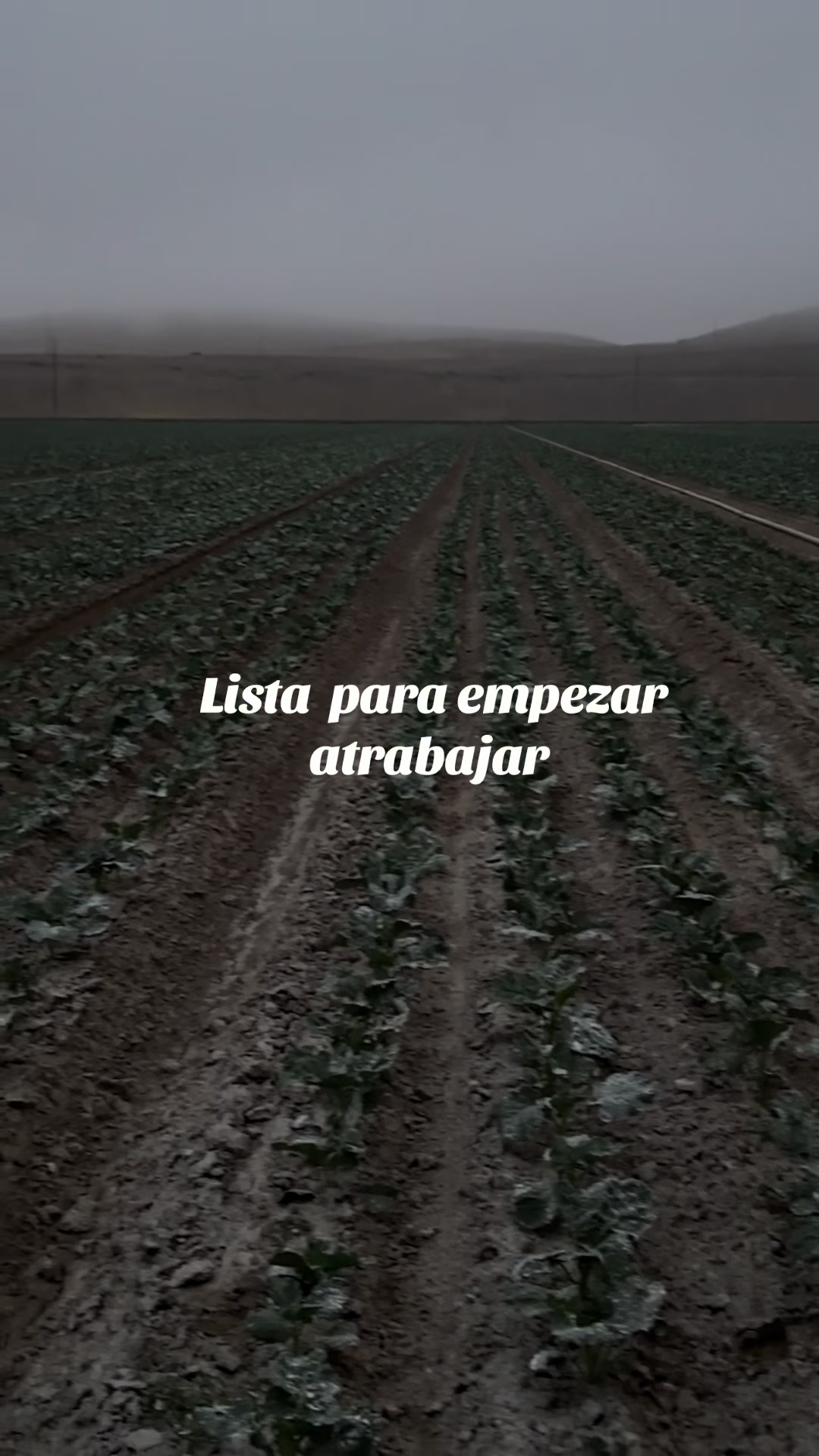 @Chela A367