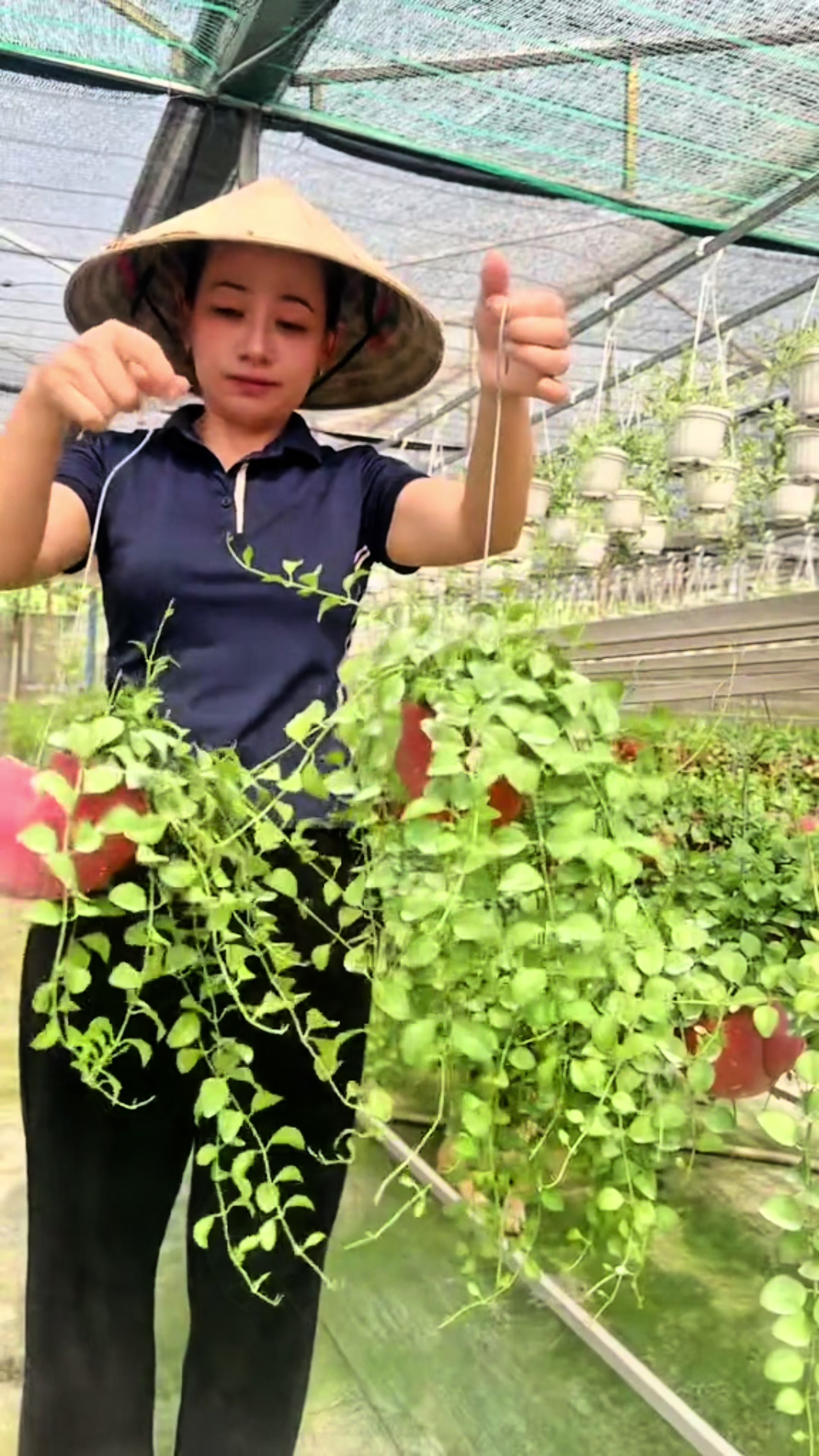 @Vườn Hồ H&acirc;n
