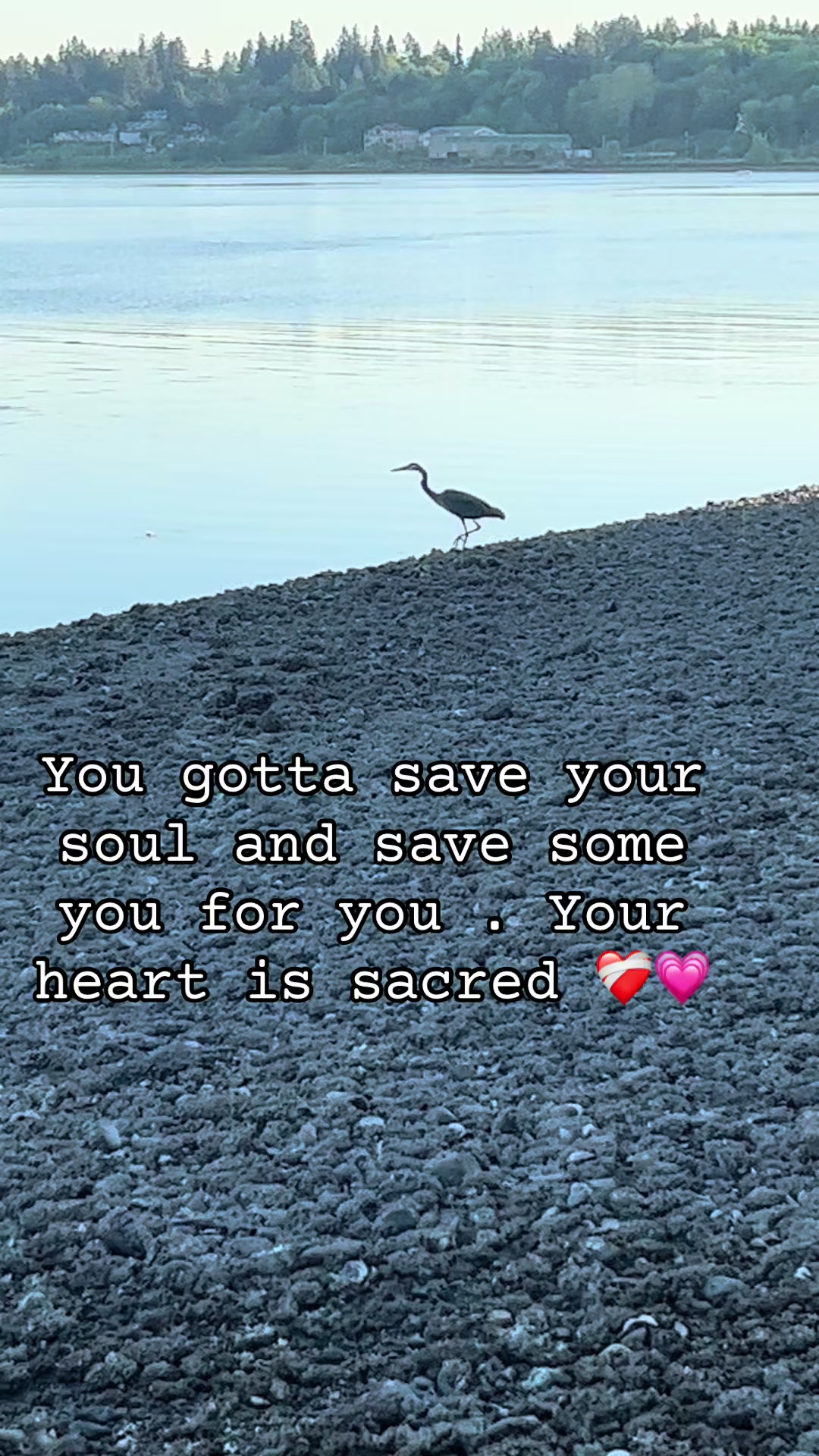 @BakkeddCakkess27
