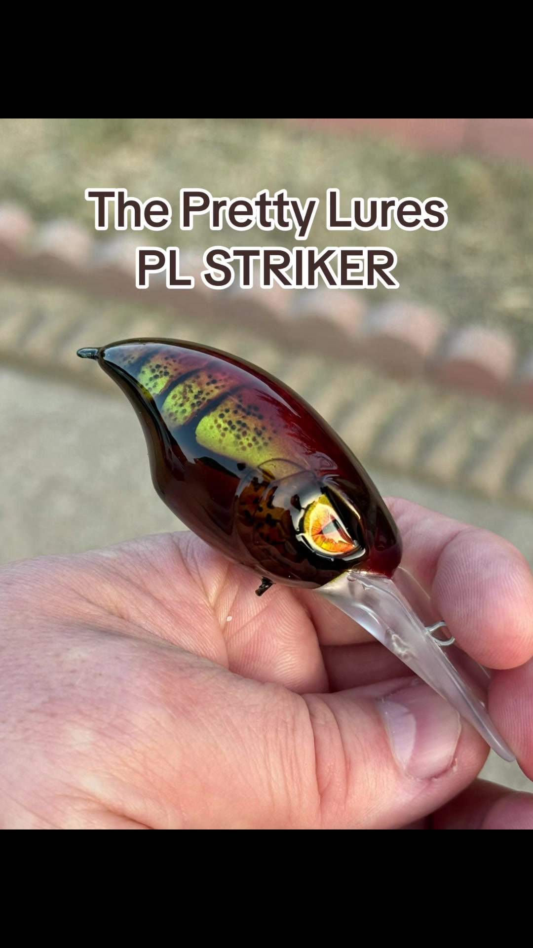 @Barrett Baits