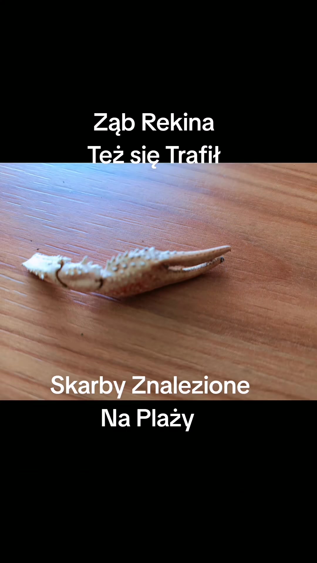 @Marek 🇵🇱🚍🚎