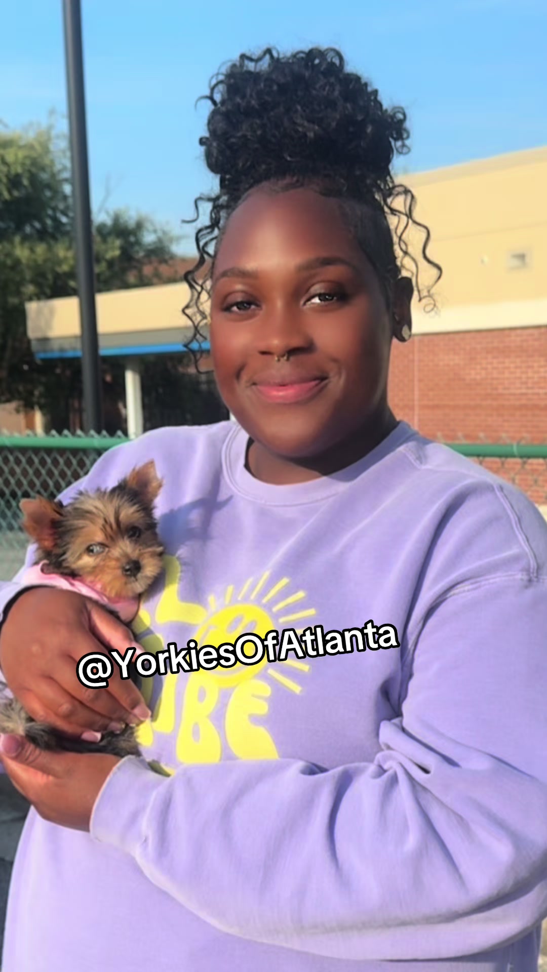 @Yorkies Of Atlanta