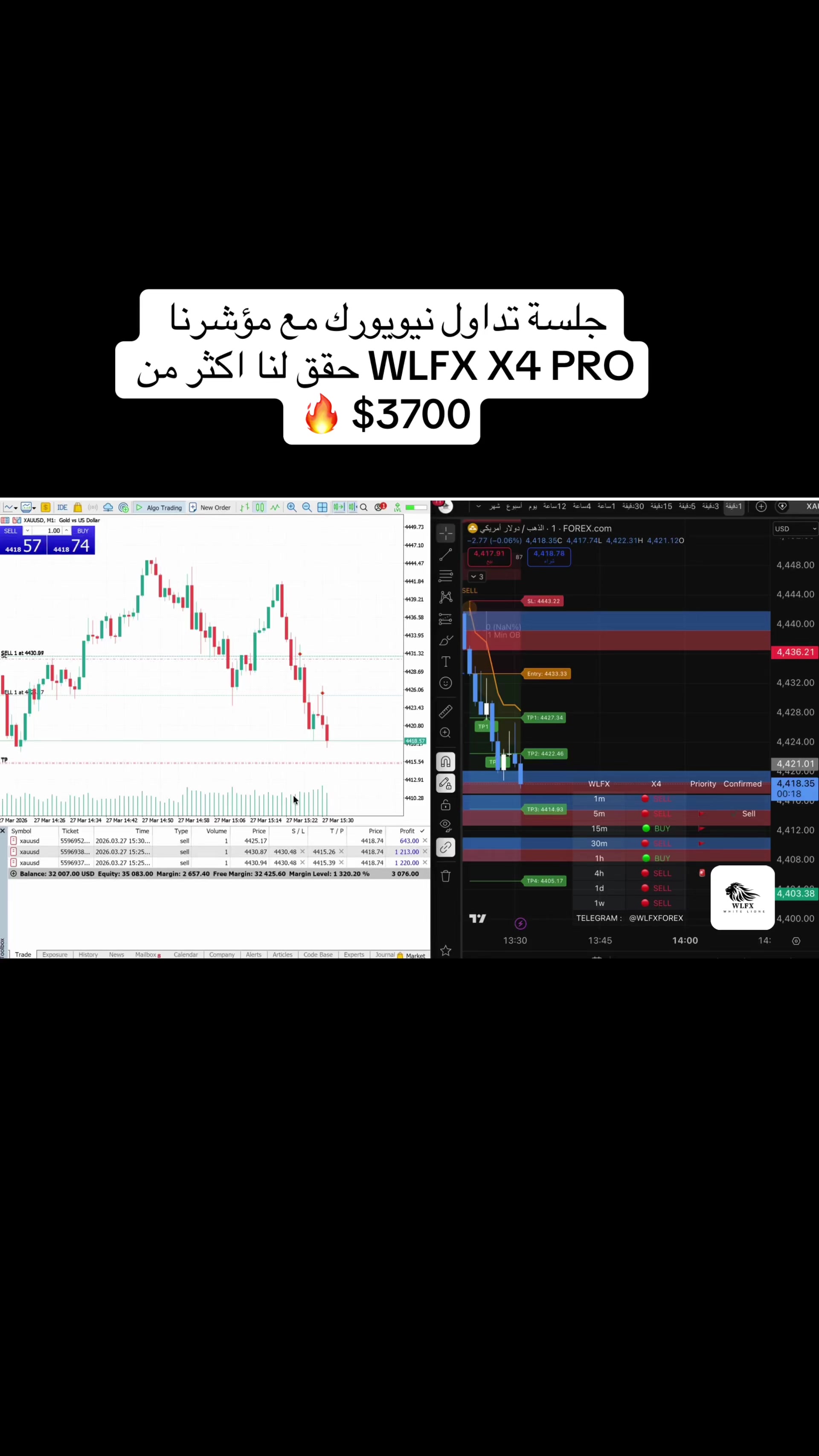 @WLFX.forex