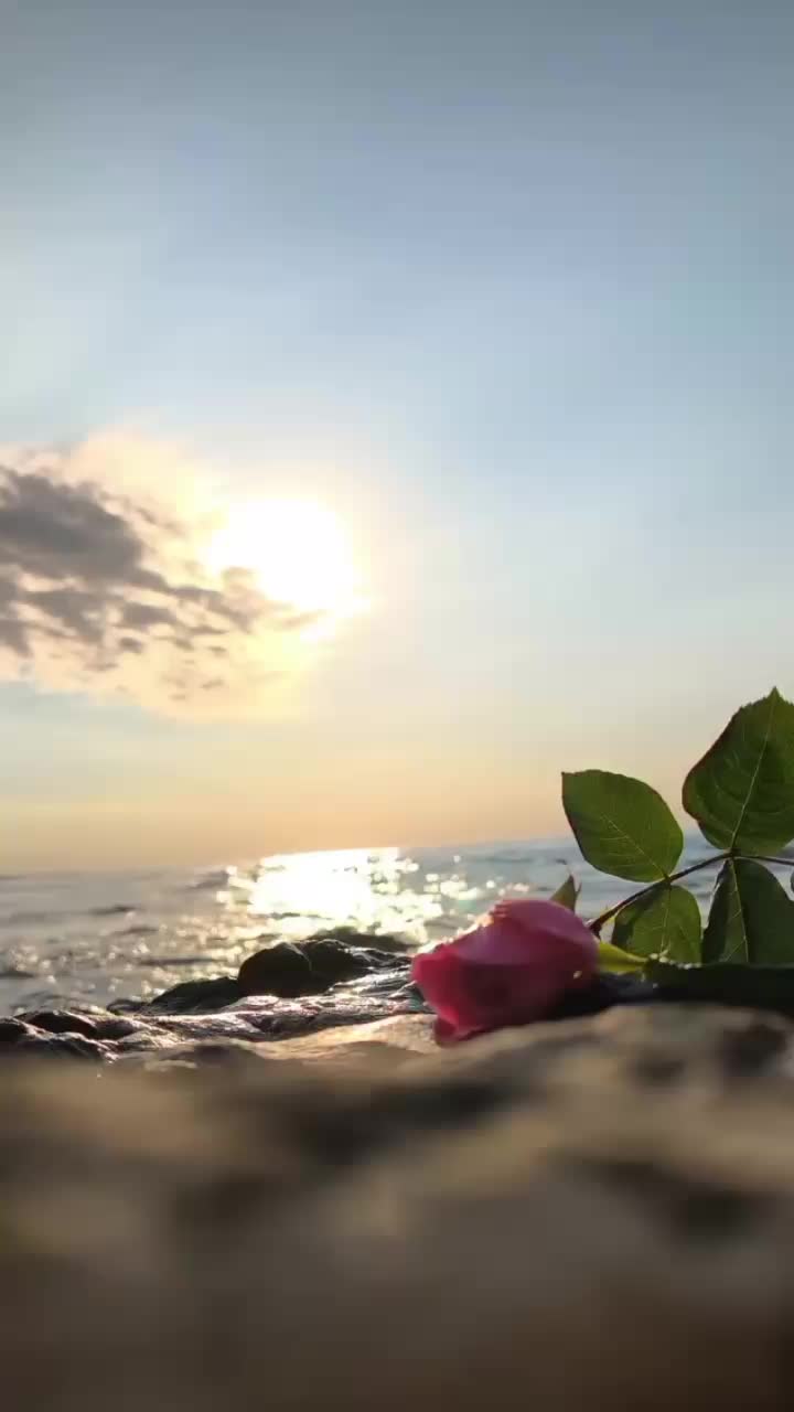 @nunziazatti