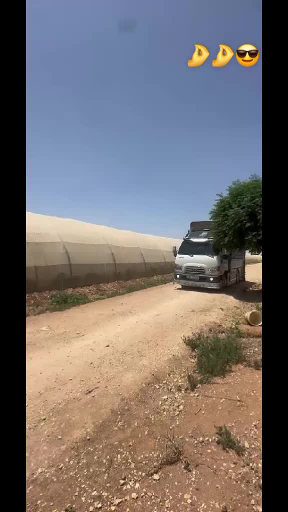 @موسى بلوشي