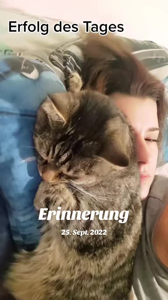 @LadySarah