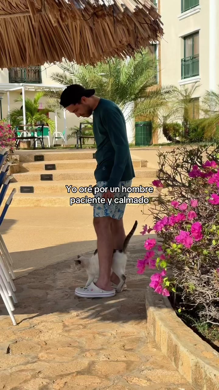 @tuchi