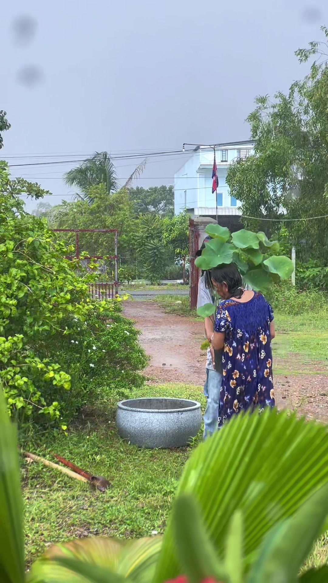 @Nim Noun-នឹម នួន/ស្ទាវខេត្ត🪷