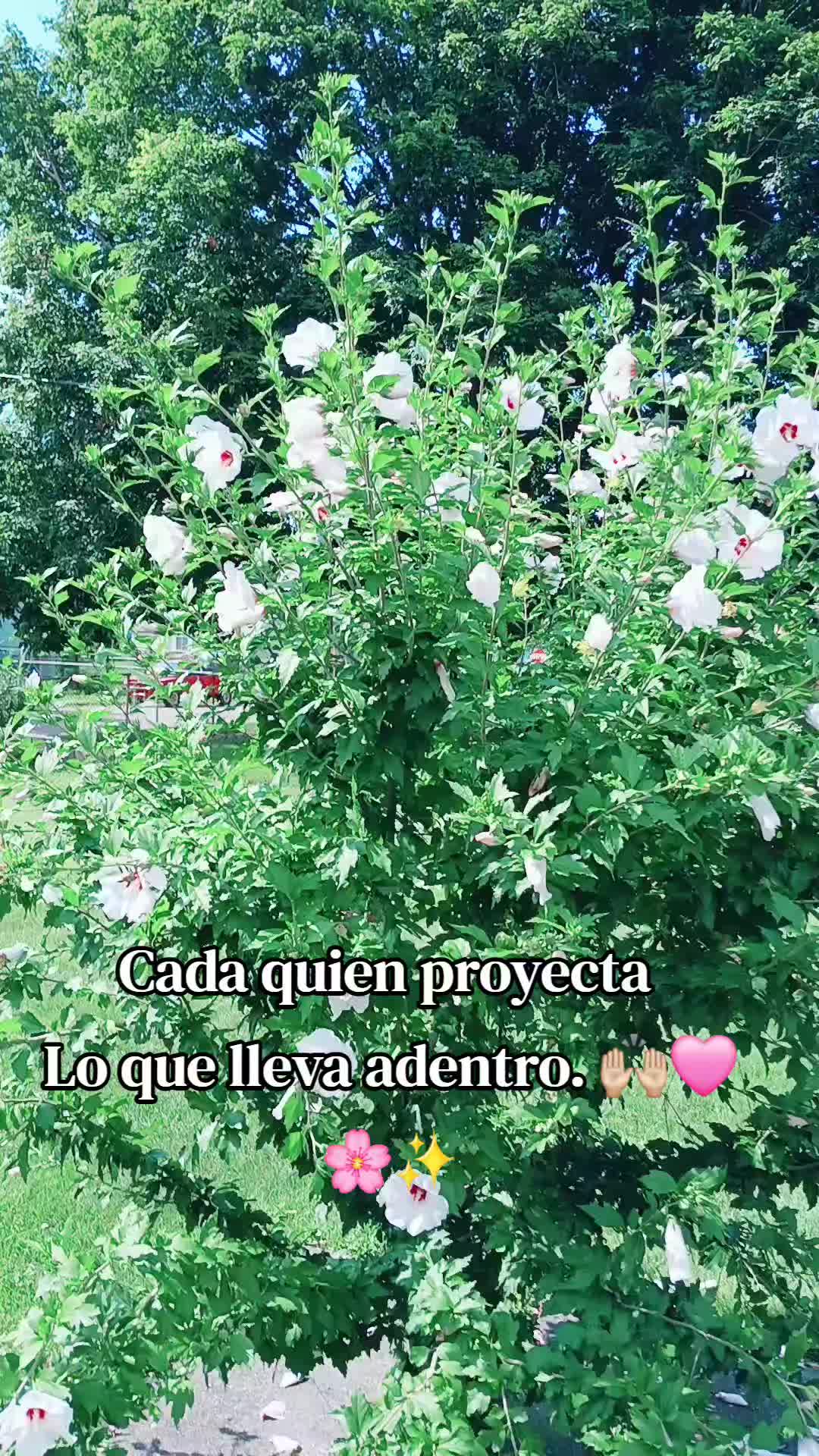 @Matilde