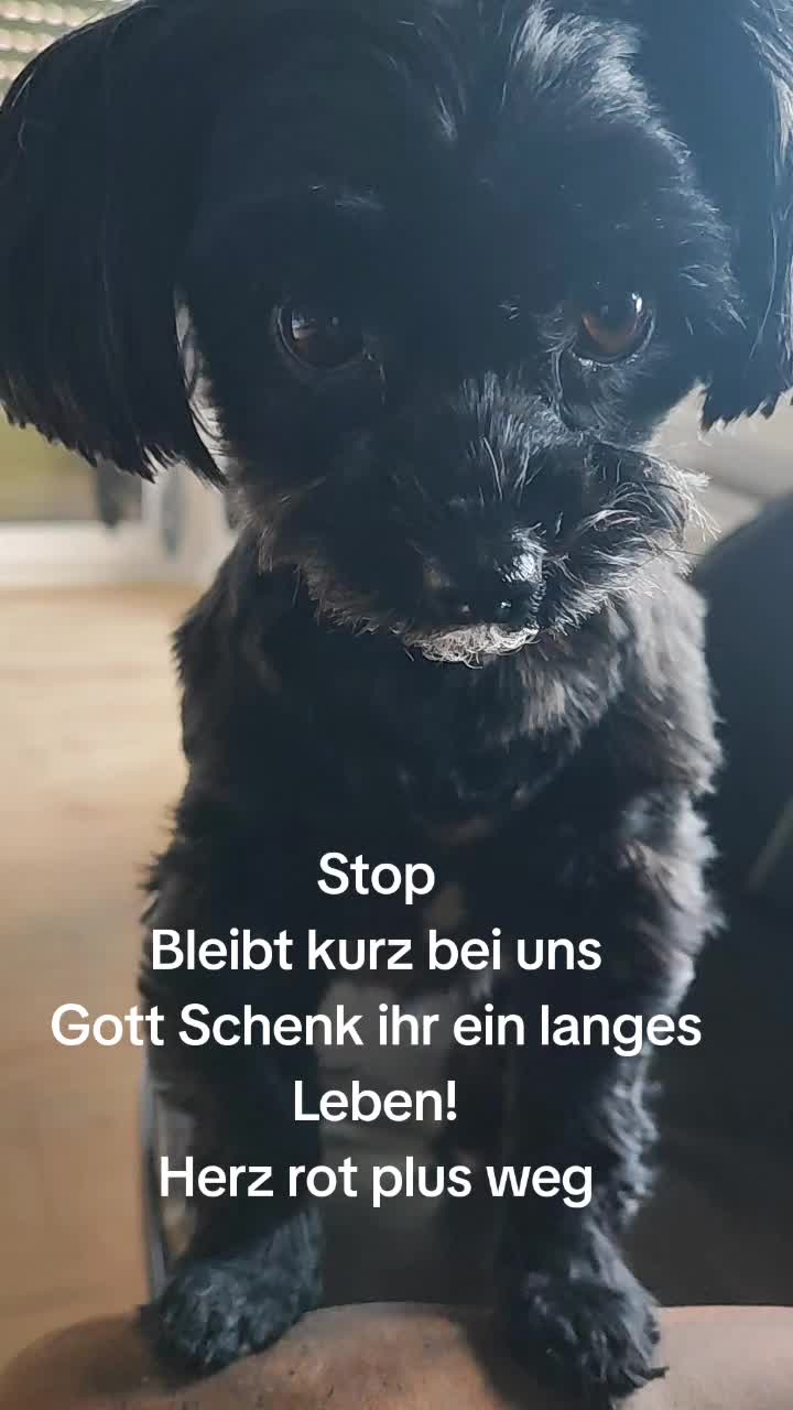 @P&ouml;ppi
