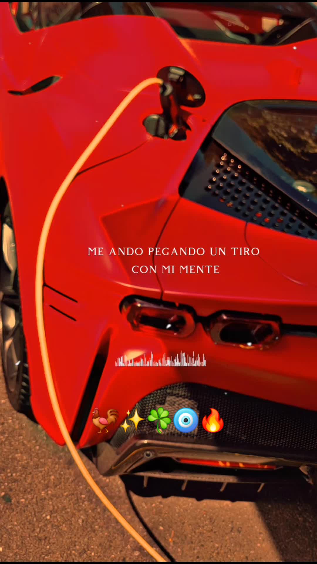 @Alejandro Cortez🐓