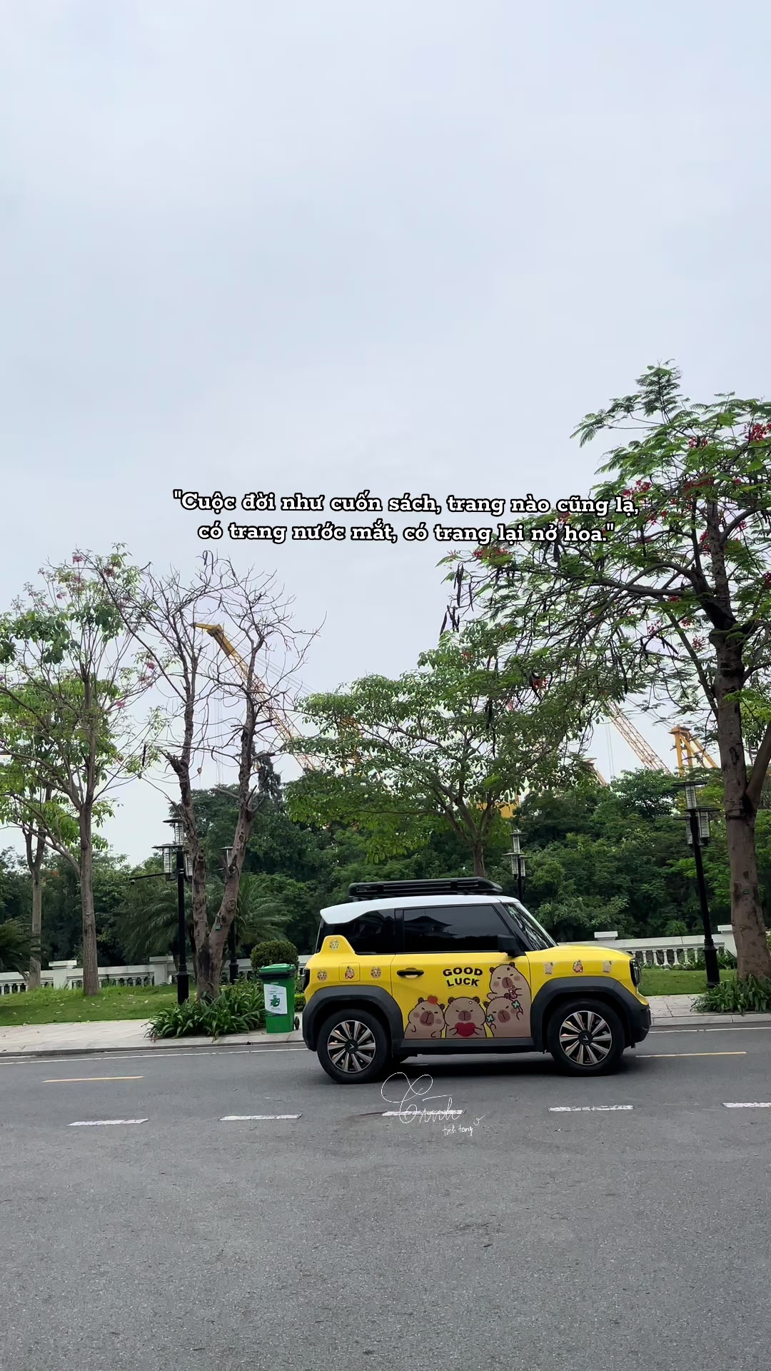 @Reels của T&igrave;nh 🫧