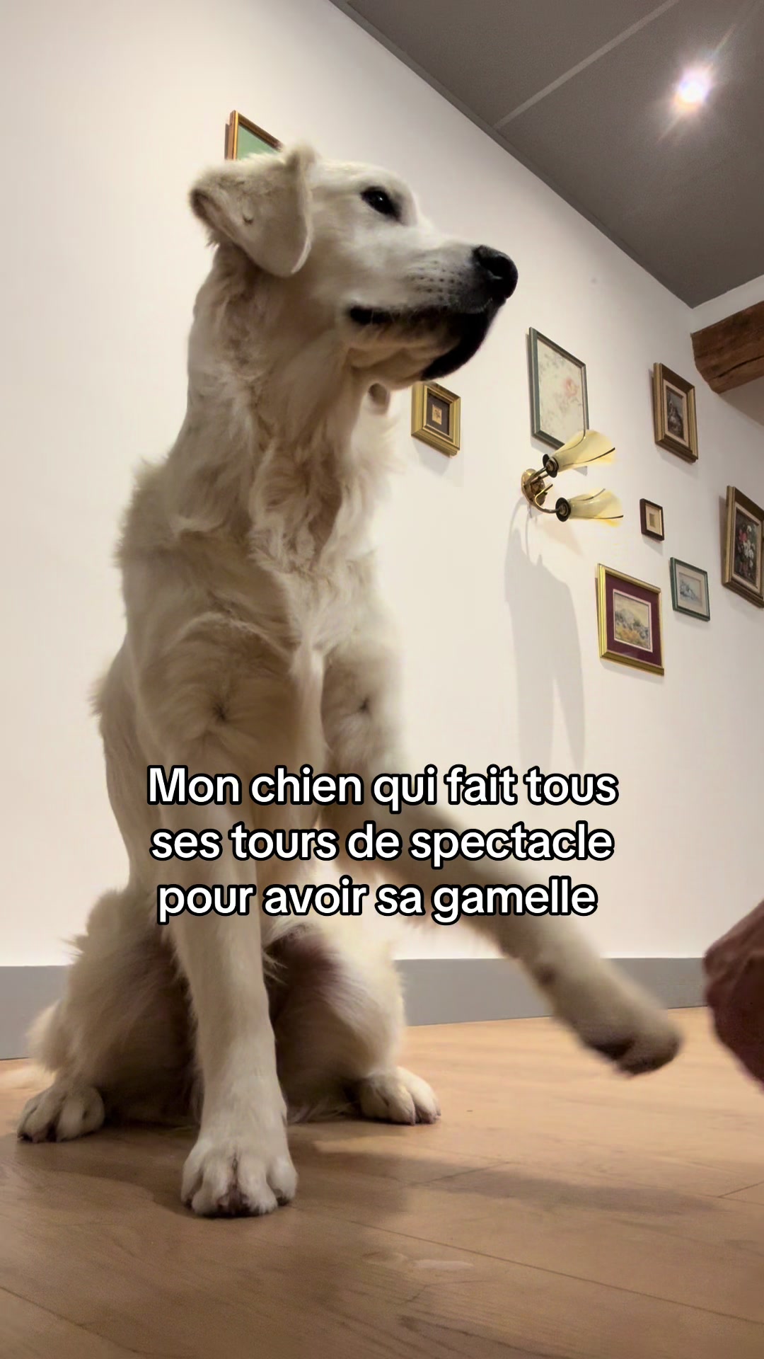 @Théa🍋