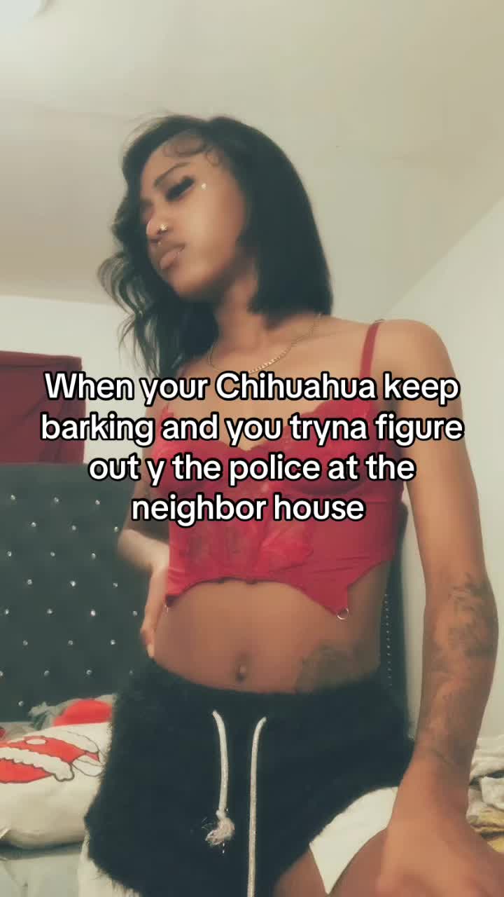 @lil.brickss1