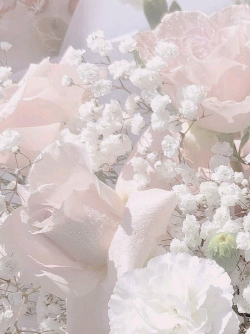 @compy⁸ ᓀ‸ᓂ