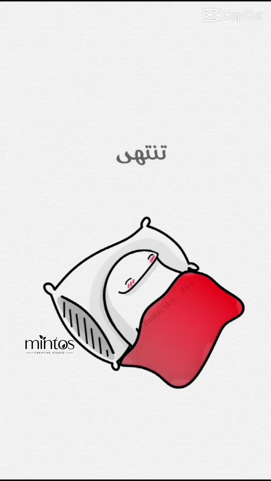 @فتوجرافر السعادة 📸🐈📌