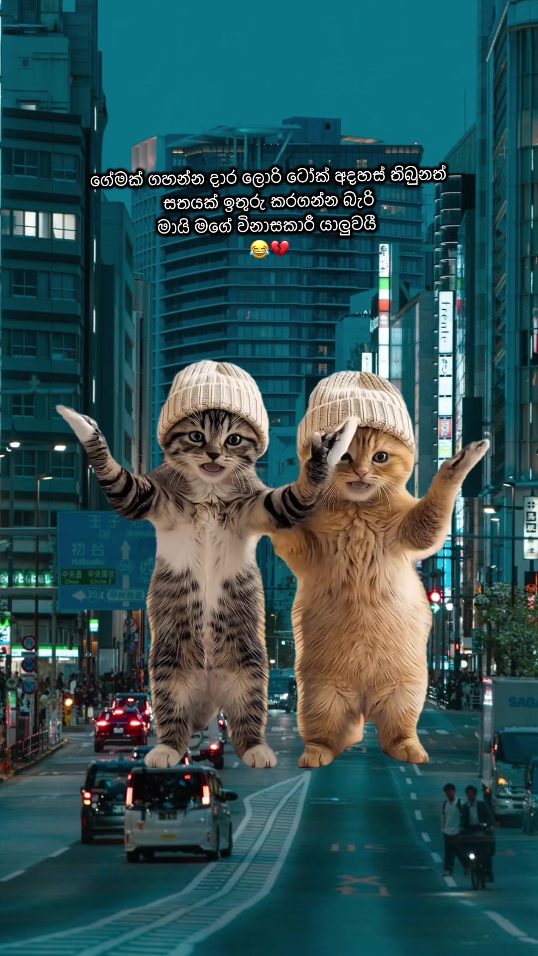 @🇱🇰 චමුවා 🇦🇪