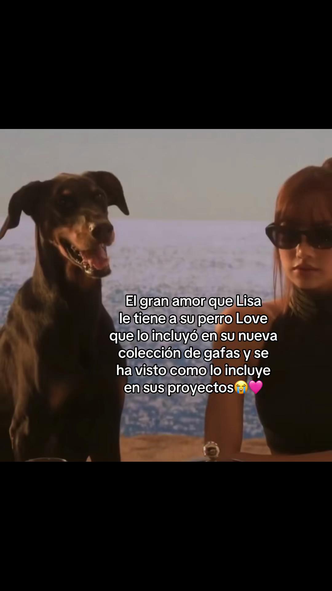 @JENSOOMISAMORES🤭💗