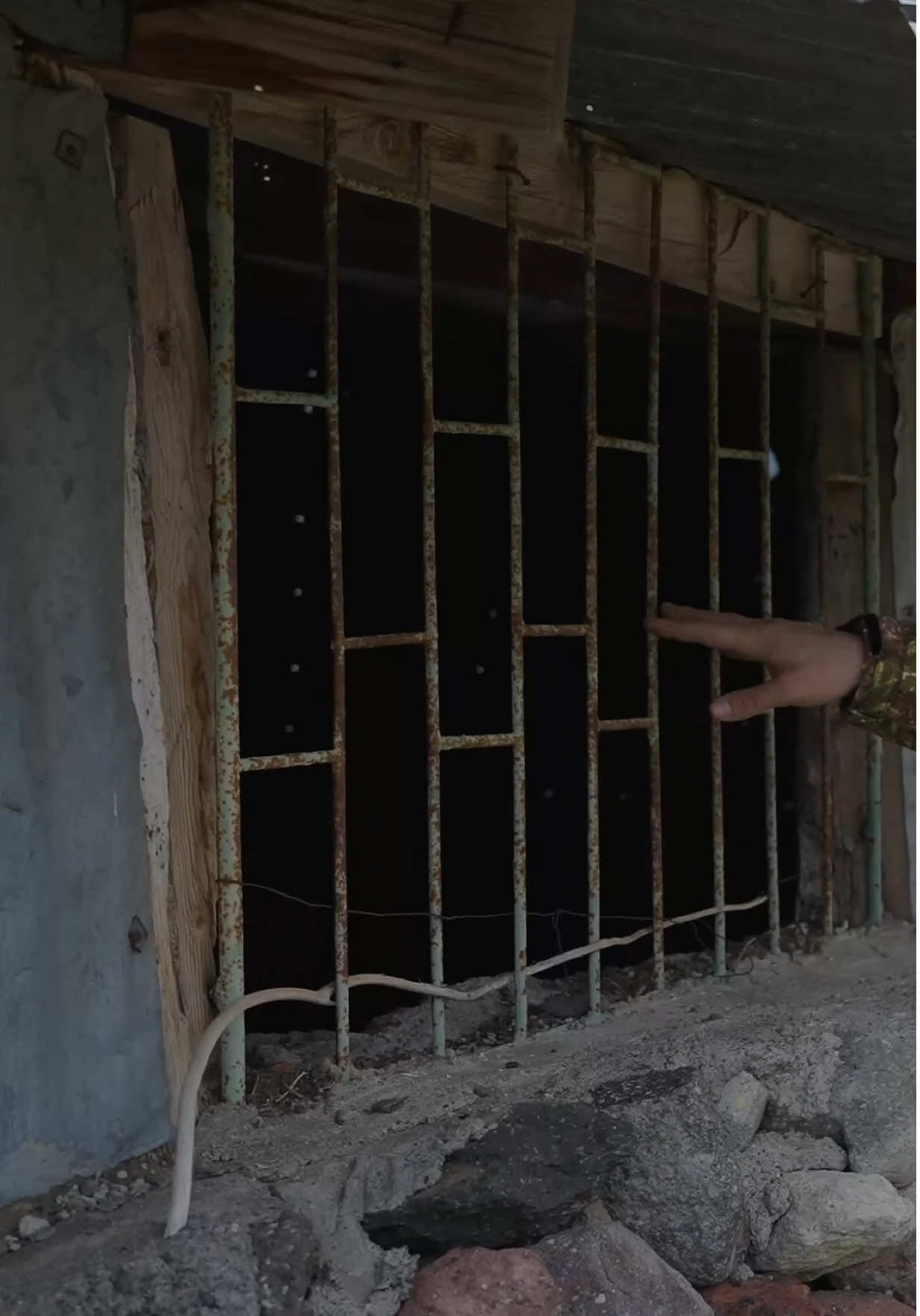 @Doğanay Vural