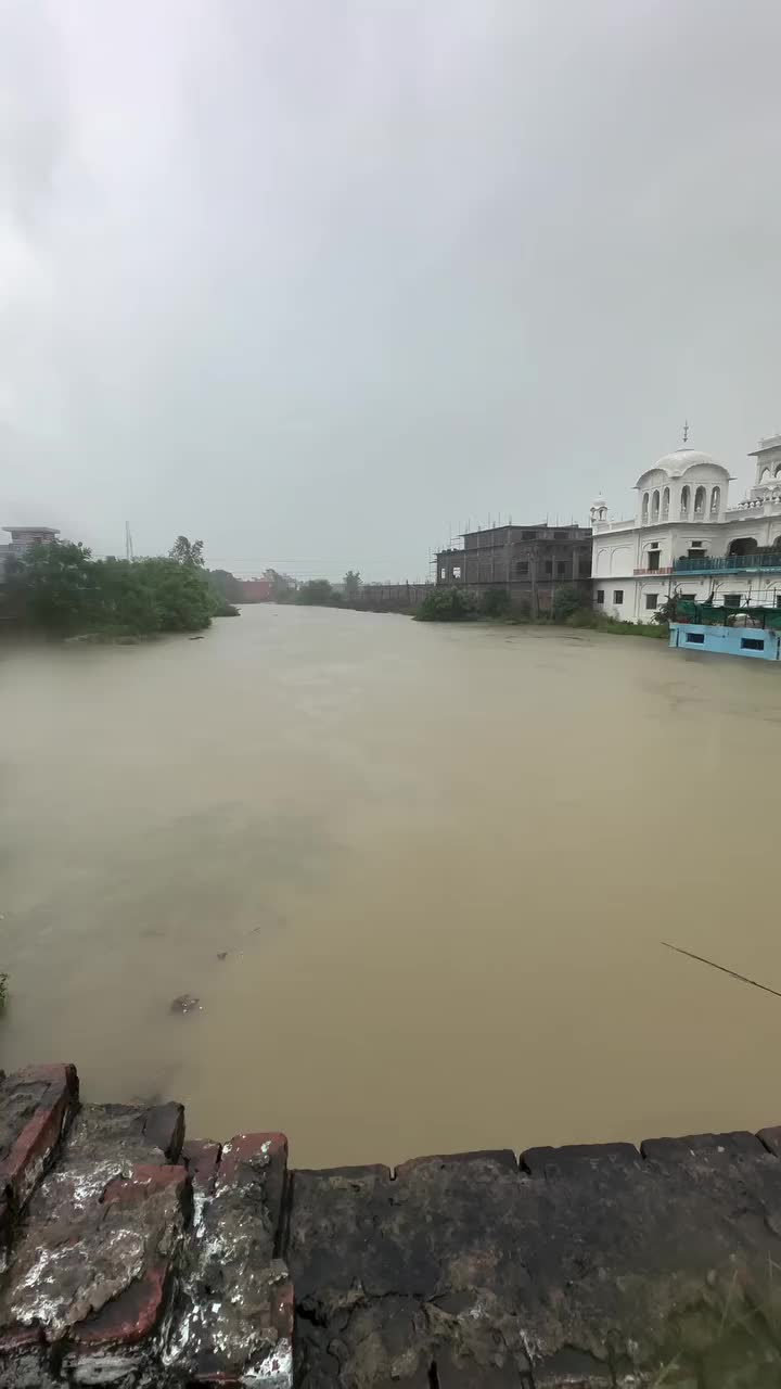 @pulpukhta_sahib