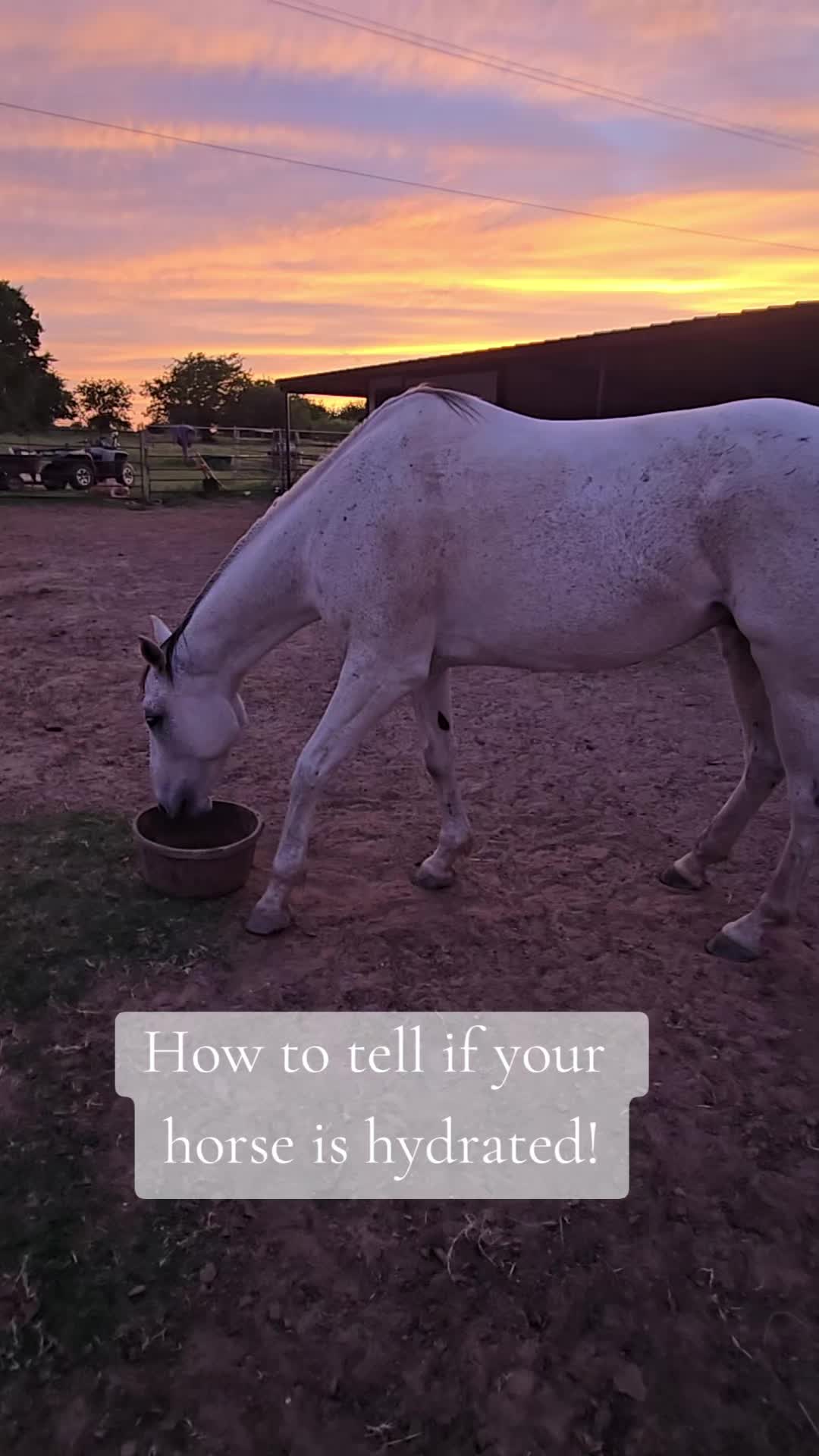 @Fonzy's Farm Rehab & Sanctuary