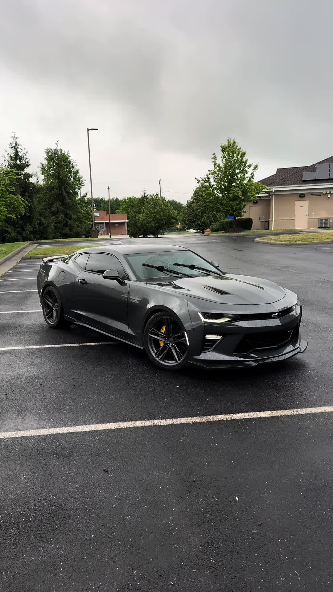 @LT1._ED