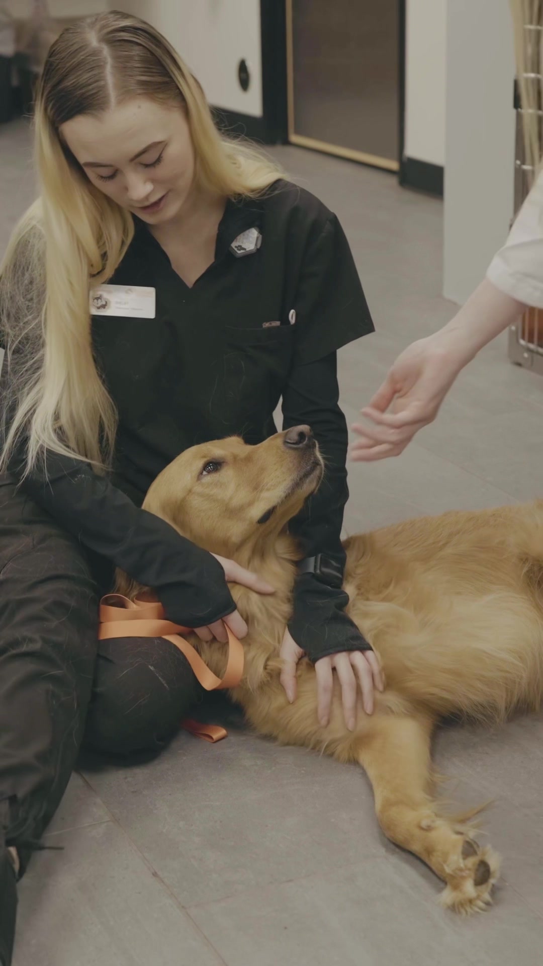 @banfieldcareers
