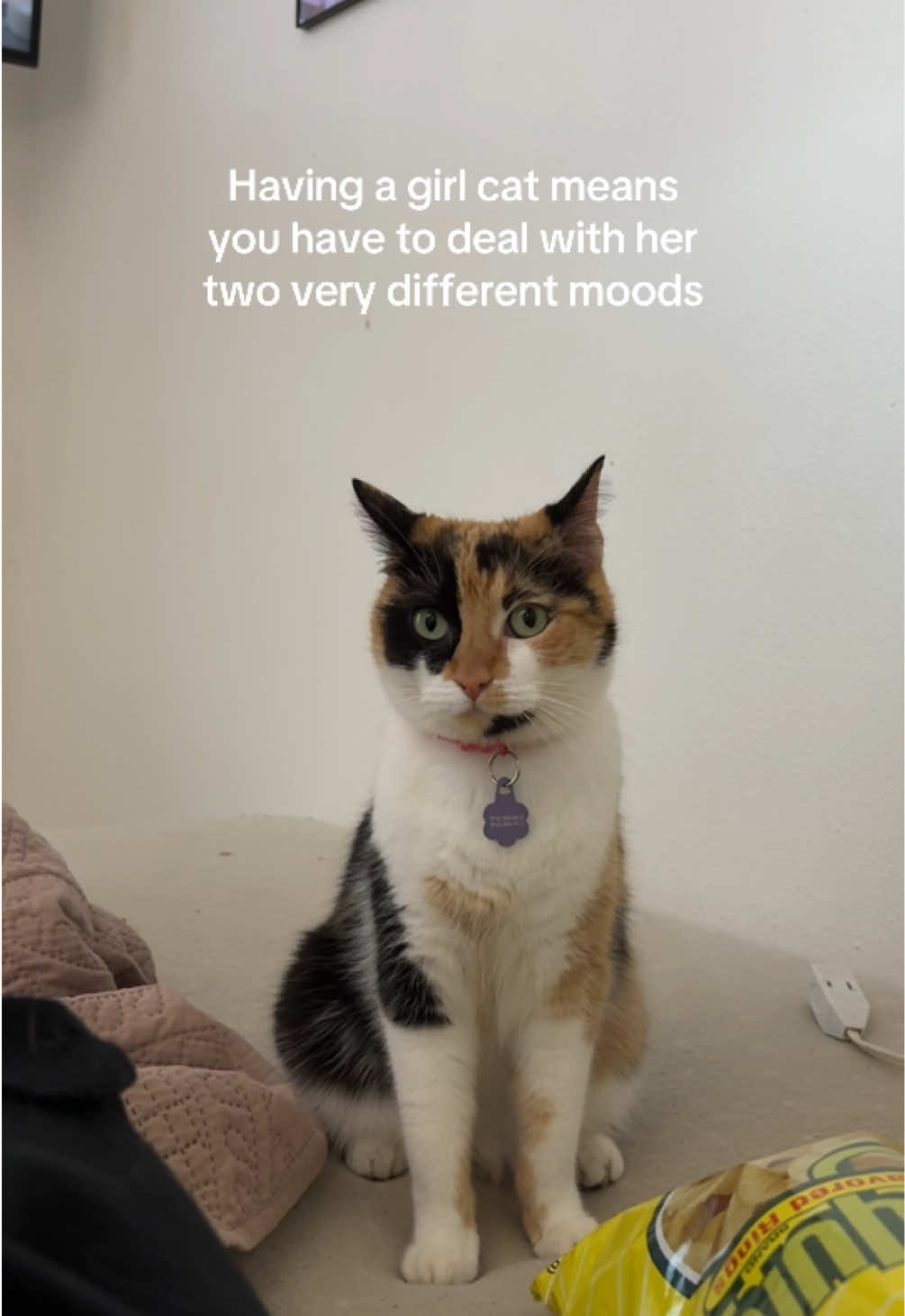 @Biggy smalls🐈⬛