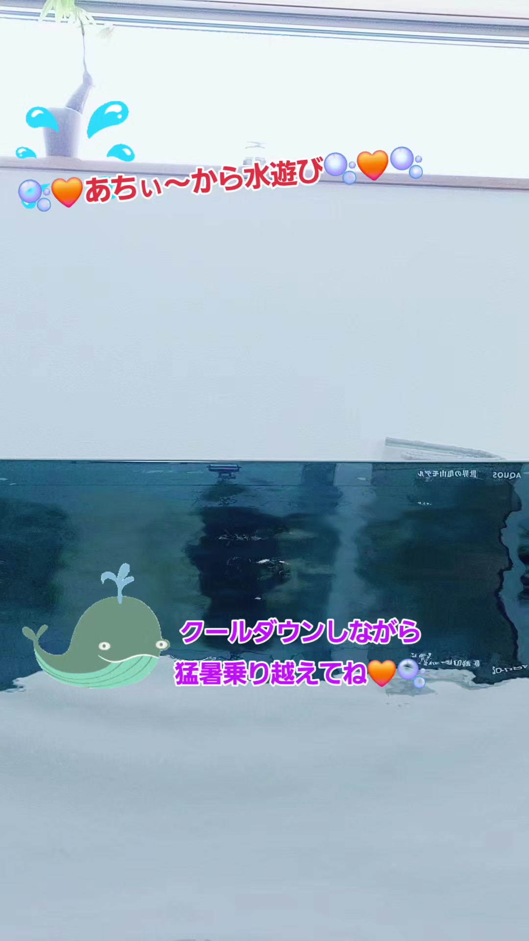 @🫧🧡fuko-ree🌬🫧