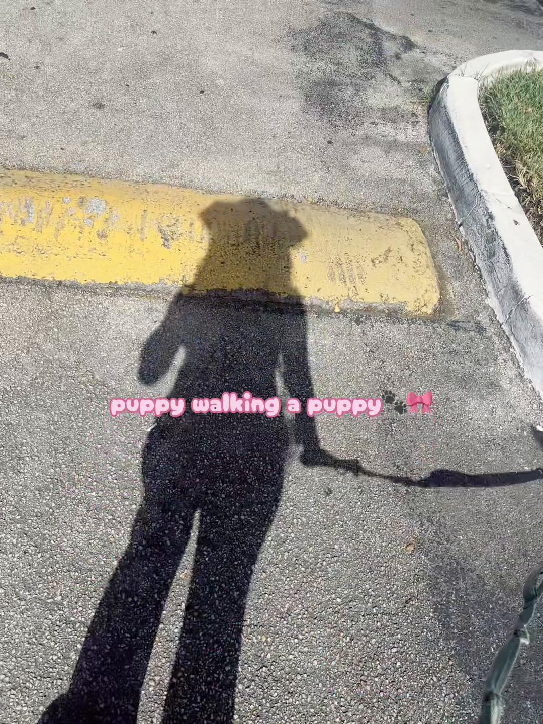 @faye💊🐶🐾