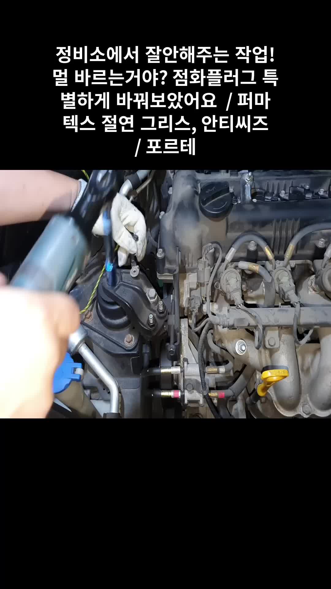 @귀여운친구