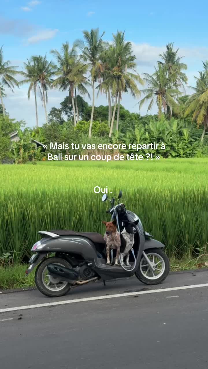 @Seynabou