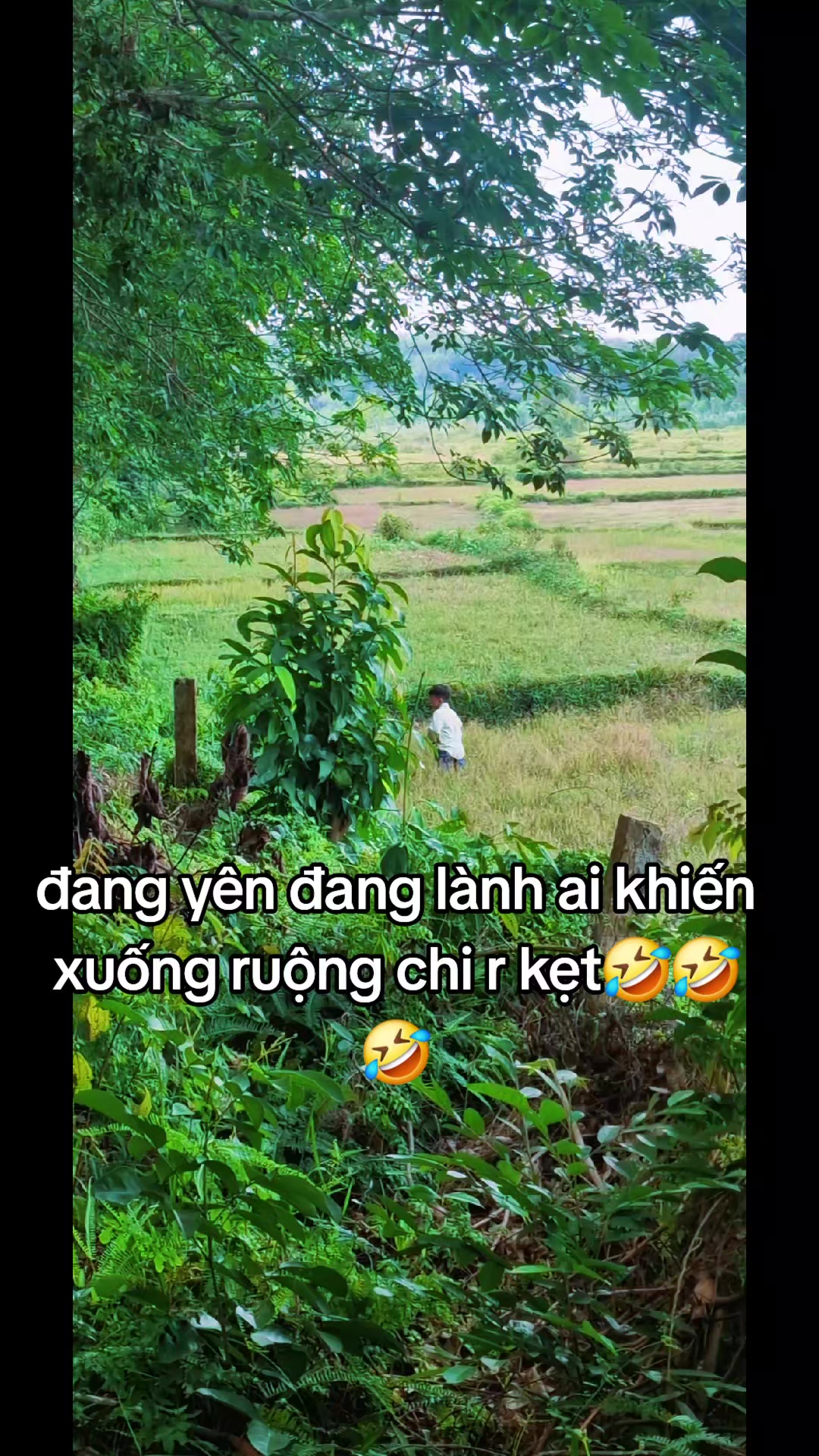 @Mẹ Thư &Yacute; 🥰
