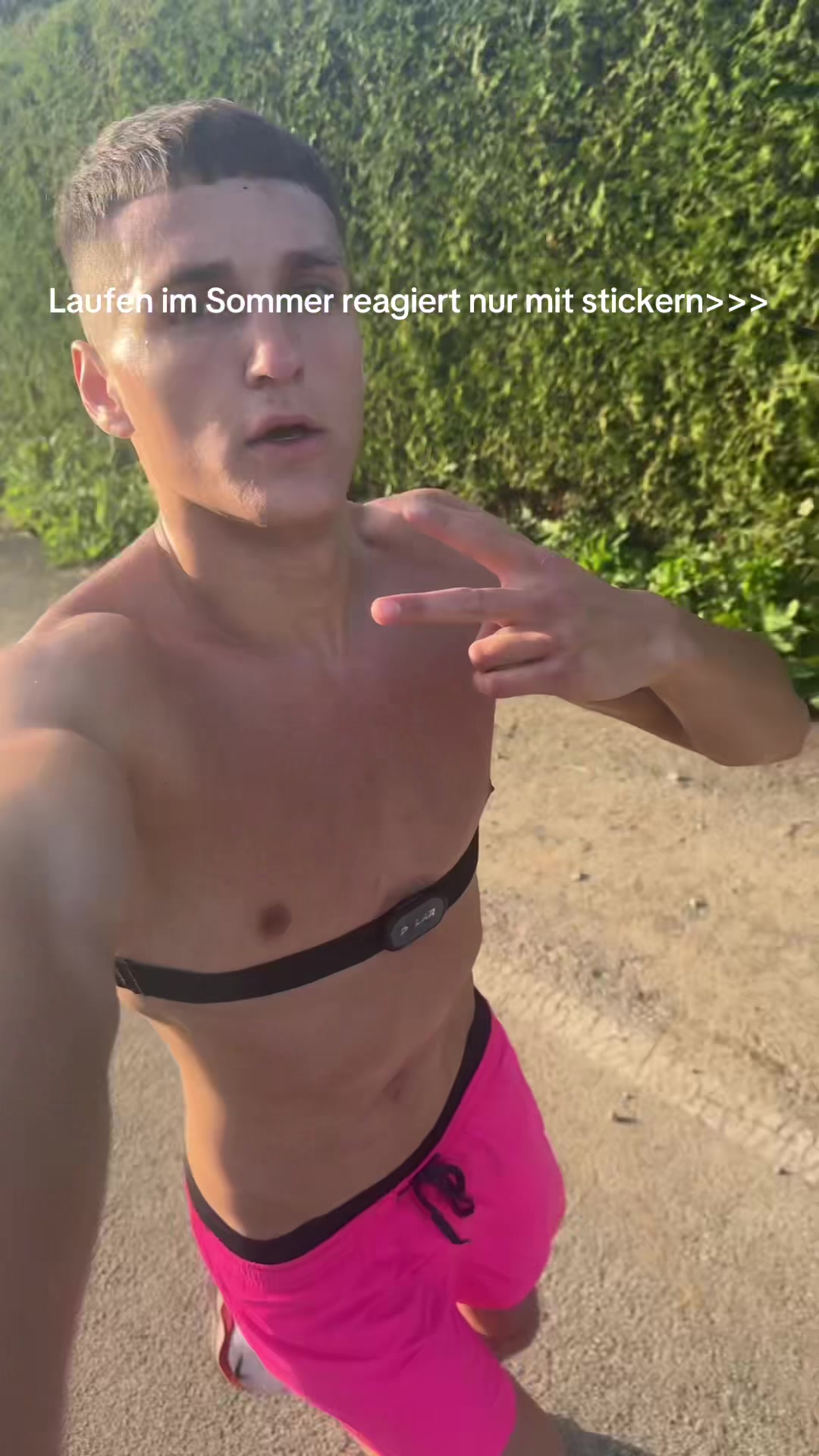 @Lxrent