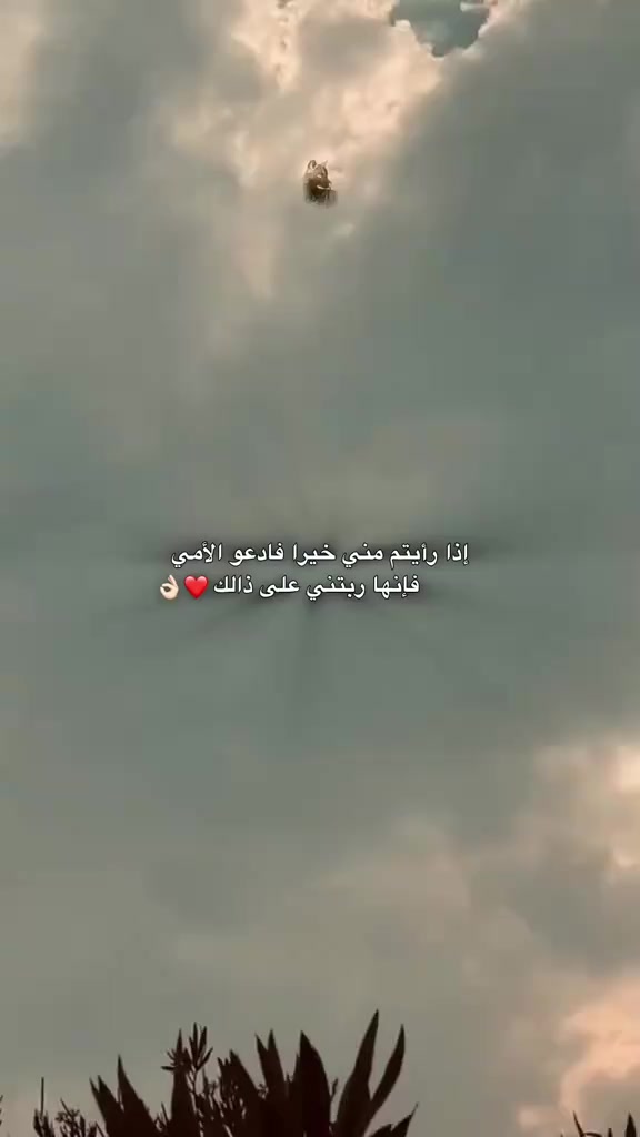 @🎭👑التبسي👑🎭