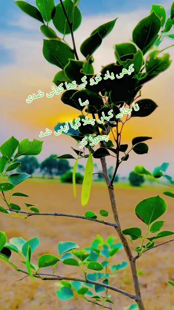 @🩸Mحraں  Da مuنda🫀