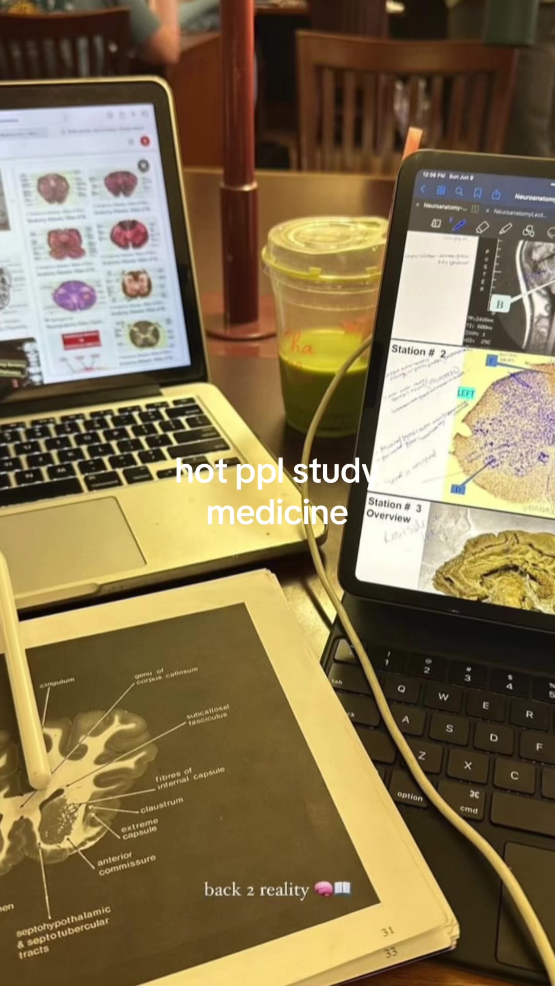 @AnaStudytips