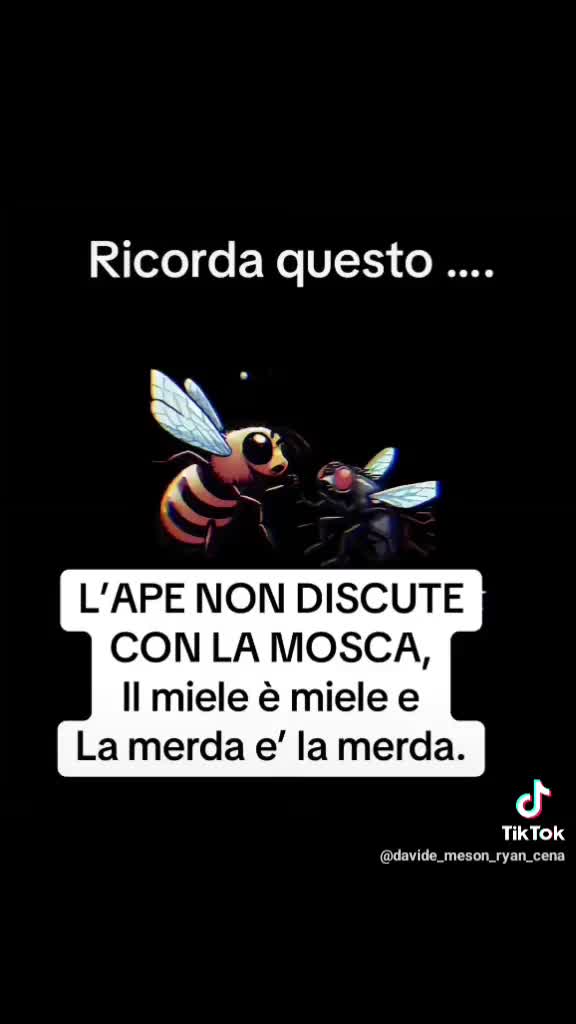 @lucia