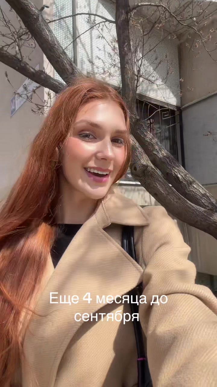 @🐈