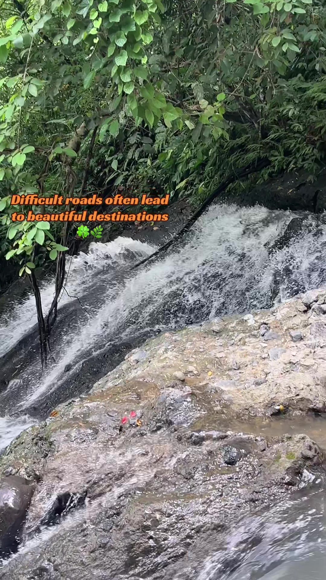 @Pau🤍