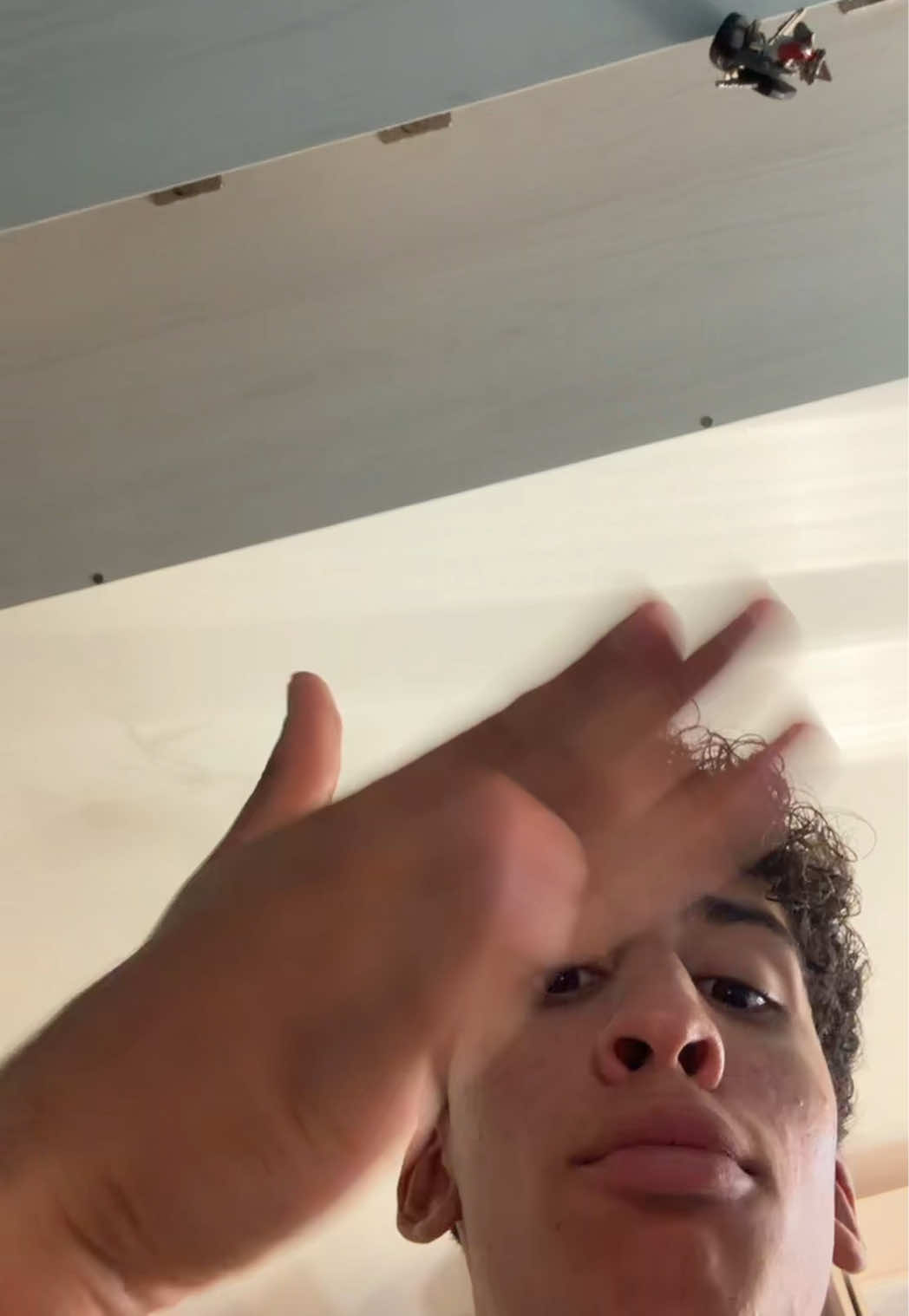 @samooel 🐮