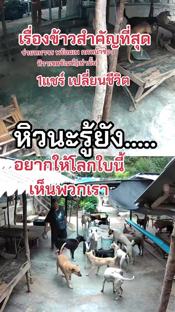 @๐๘๖๑๔o๘๓๙๖ทิวาเขตขัณฑ์