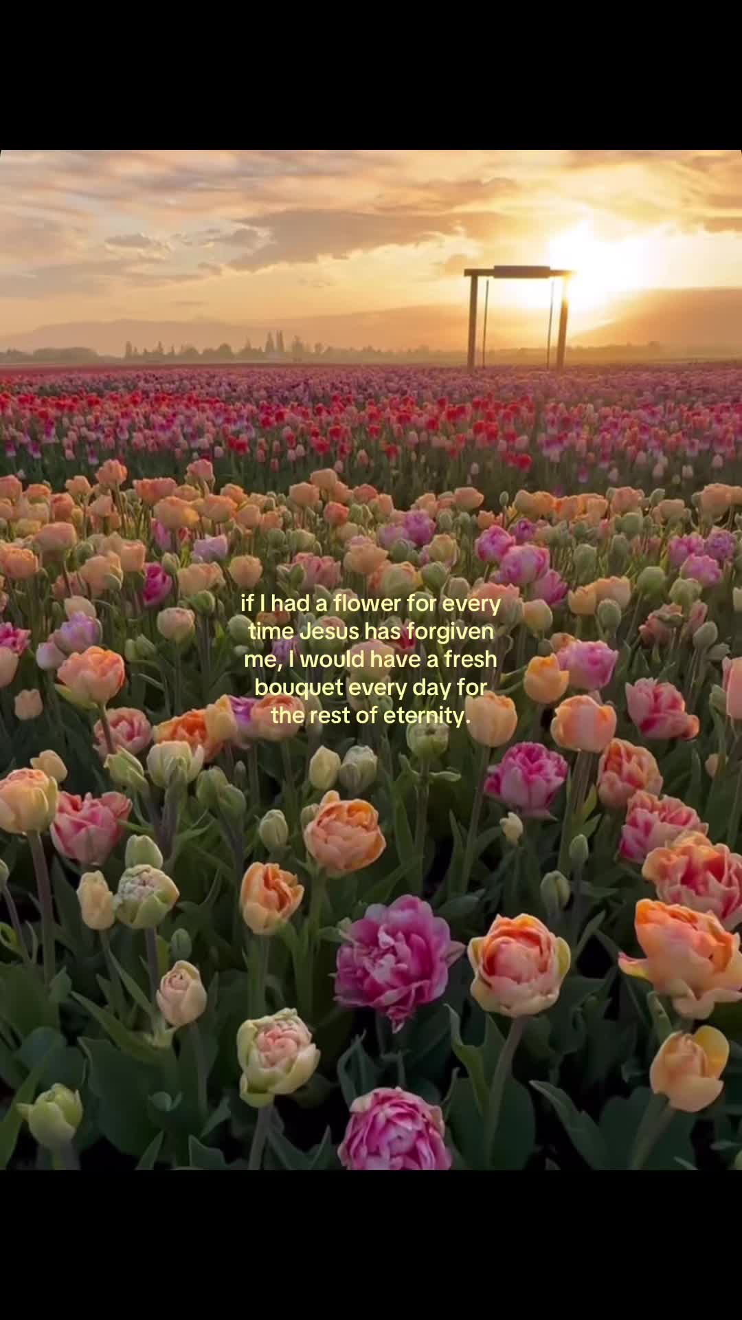 @I_loveJesus