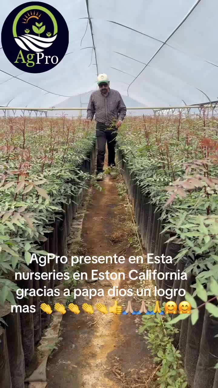 @Piedad Ayala