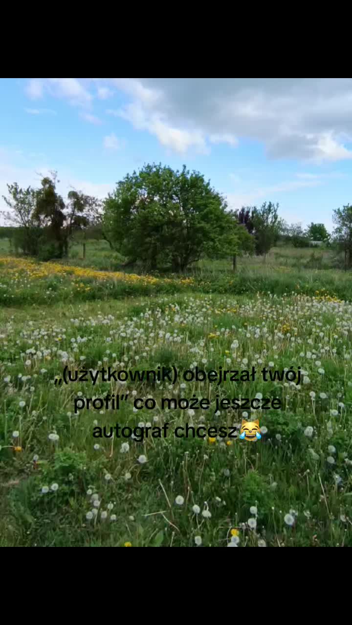 @🎰